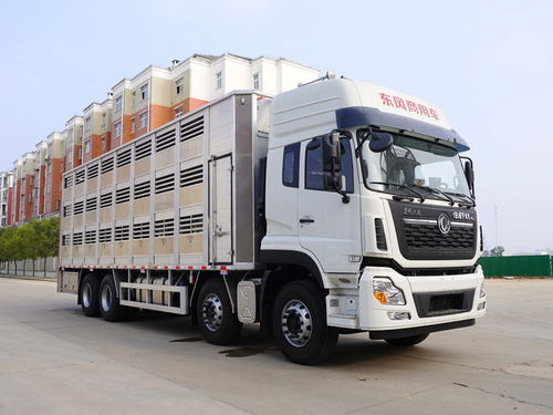 全铝合金畜禽运猪车 价格、厂家与9.6米恒温车型全方位解析